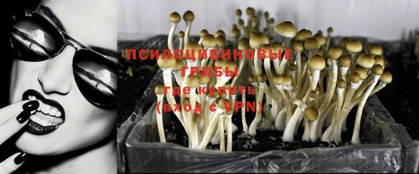 винт Абинск